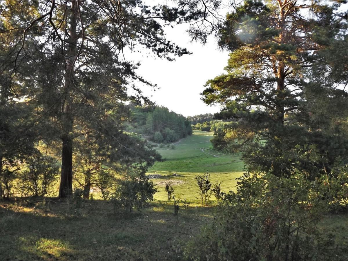 Agroturystyka Dolina23 Villa Piaski Exterior foto
